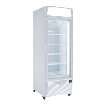 Image: Up Right Glass Door Freezer